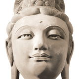 Buddha's Head Art