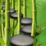 Stones & Bamboo Path Art