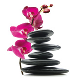 Floral Balance Poster