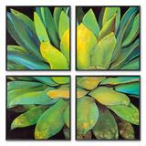Agave Posters by Jillian David