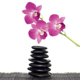 Feng Shui Flair Posters