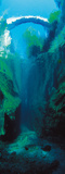 Underwater Bridge Posters par Titus Müller