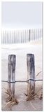 Fence In The Dunes Poster