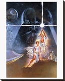 Star Wars-A New Hope Leinwand