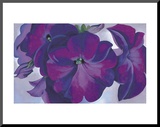 Petunias, c.1925 Mounted Print by Georgia O'Keeffe