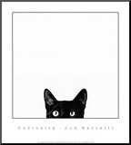Curiosity Mounted Print by Jon Bertelli