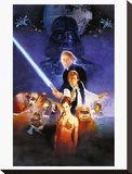 Star Wars-Return Of The Jedi Leinwand