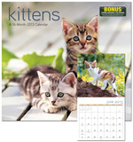 Kittens - 2013 Wall Calendar Calendars