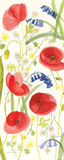 Meadow Poppies II Prints by Rebecca Bradley