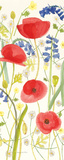Meadow Poppies III Poster by Rebecca Bradley