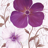 Plum Elegance I Prints by Sauber 