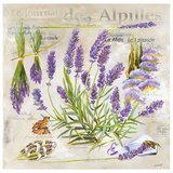 Lavande Prints by Lizie 