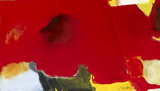 Red Coquelicot Prints by Diane Lambin