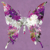 Butterfly Prints by Sally Scaffardi