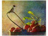 Apples and Hummer Impressão giclée premium por Chris Vest Apples and Hummer Impressão giclée premium por Chris Vest