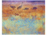 Cranes in Soft Mist Impressão giclée premium por Chris Vest Cranes in Soft Mist Impressão giclée premium por Chris Vest