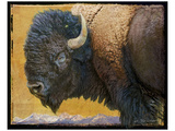 Bison II Impressão giclée premium por Chris Vest Bison II Impressão giclée premium por Chris Vest