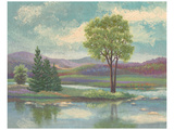 River Scape I Impressão giclée premium por Victor Valla River Scape I Impressão giclée premium por Victor Valla