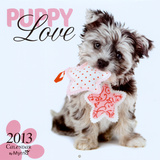 Puppy Love by Myrna - 2013 Wall Calendar Calendars
