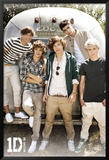 One Direction- Airstream Print