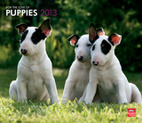 For The Love Of Puppies - 2013 Deluxe Wall Calendar Calendars