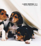 Puppies, I Love - 2013 Monthly Personal Planner Calendars
