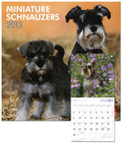 Schnauzers, Miniature (Intl) - 2013 Wall Calendar Calendars