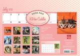 Kitten Cuddles - 2013 Academic Desk Pad Calendars
