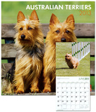 Australian Terriers - 2013 Wall Calendar Calendars