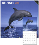 Delfines/Dolphins - 2013 Wall Calendar Calendars