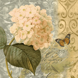 Flowers Butterfly I Affiches par Emma Hill