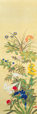 Flowers and Grasses II Prints by Suzuki Kiitsu
