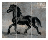 Caballus III Prints by Mark Chandon