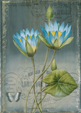 Black Botanical I Prints by Emma Hill