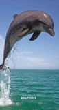 Dolphins - 2013 Two Year Pocket Planner Calendars