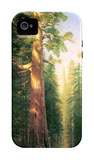 The Big Trees, Mariposa Grove, California iPhone 4/4S Case por Albert Bierstadt The Big Trees, Mariposa Grove, California iPhone 4/4S Case por Albert Bierstadt
