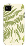Ferns with Platemark I iPhone 4/4S Case Ferns with Platemark I iPhone 4/4S Case