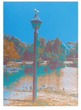 Seagull on a Lantern Edition limitée par Max Epstein