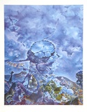 A Planetary Hypothesis Limited edition van Isaac Abrams