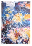 Fire and Ice Limited edition van Isaac Abrams