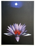 Lonely Tune Limited Edition by Michael Knigin