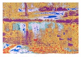 Ducks in a Pond Edition limitée par Max Epstein
