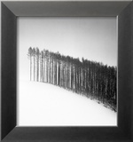 Forest Edge, Hokuto, Hokkaido, Japan, 2004 Posters tekijänä Michael Kenna Forest Edge, Hokuto, Hokkaido, Japan, 2004 Posters tekijänä Michael Kenna