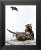 Chat et souris Poster