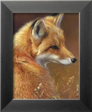 Curious: Red Fox Prints by Joni Johnson-godsy
