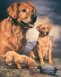 Joanne Graham Golden Experience Retriever Dogs with Duck Tin Sign