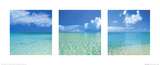 Tropical Infinity Triptych Posters
