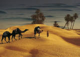 Palmeraie Dans le Sud Tunisien Print by Robert Putinier