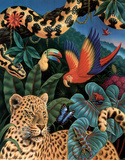 Rainforest Prints by Ken Joudrey