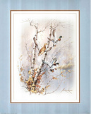 Ducks in Flight (Wildlife) Prints